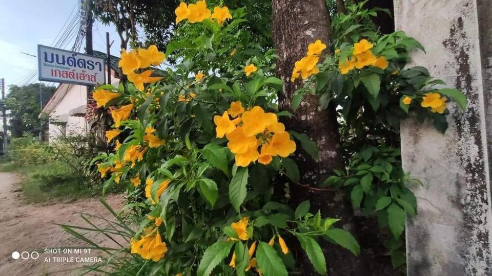 Montra Guesthouse Ranong Exterior foto